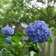 プロフ要確認m(__)m◎nanaの画像