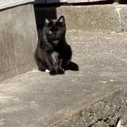 中野の画像