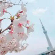 まいち