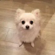Tamamiの画像