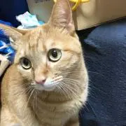 93断捨離中の画像