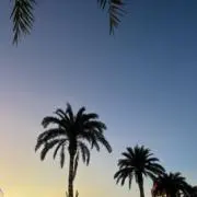 らんらの画像