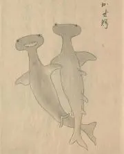トミー