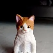 伊勢茶の画像