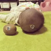 nokのこnok