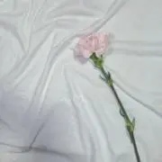 おうもいの画像