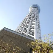 るろん♪の画像