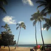 seaの画像