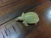 コタロウの画像