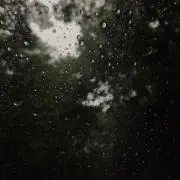 jaemsの画像