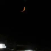 アボの画像