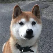 まさこ　※プロフご一読ください※の画像