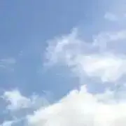五月。«即購入.無言取引⭕️»の画像