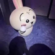 もちこの画像