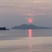 ダンシャリーの画像