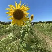齋藤勇