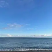 ぢぢの画像