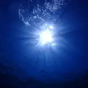 miiiの画像