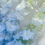 sui☺︎の画像