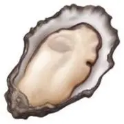 タピ岡の画像