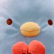 まろんの画像