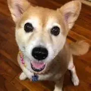 優花⭐︎ご購入前にプロフ必読⭐︎の画像