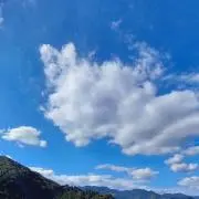 紗友里の画像