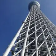 ムームーの画像