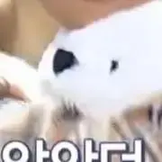 ム