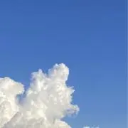 iitoの画像