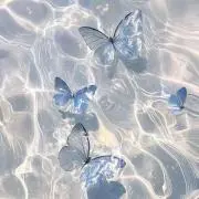 UniBomの画像