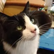 takatakの画像