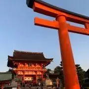 Joyフールの画像