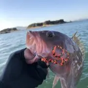 早い者勝ち！OCEA ブレイドジグ ジグ 80g サワラ 青物狙いに是非