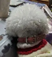 ksatの画像