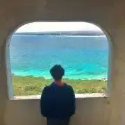 がーしーの画像