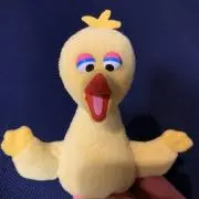 ぴちこの画像