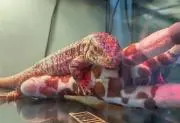 けんちゃんママ断捨離処分市開催中!!!の画像