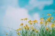 あんちゅう❥の画像