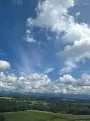 みかんの画像