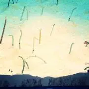 お魚サンゴの画像