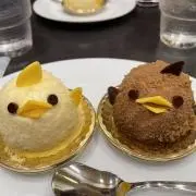 ぶたちんの画像
