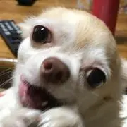 sayu☺︎の画像