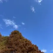 わたしの画像