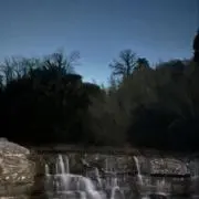 dai