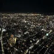 てる