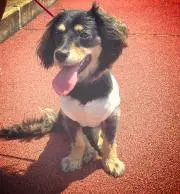 ☆ruy★mama☆の画像