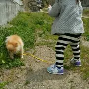 ガラオ