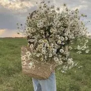 ありまの画像