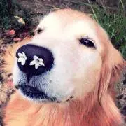 笑